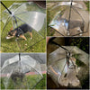 Clear Dog Umbrella for Small Breeds - Image 8