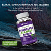 Sugar Free Elderberry Sea Moss Gummies - Image 2