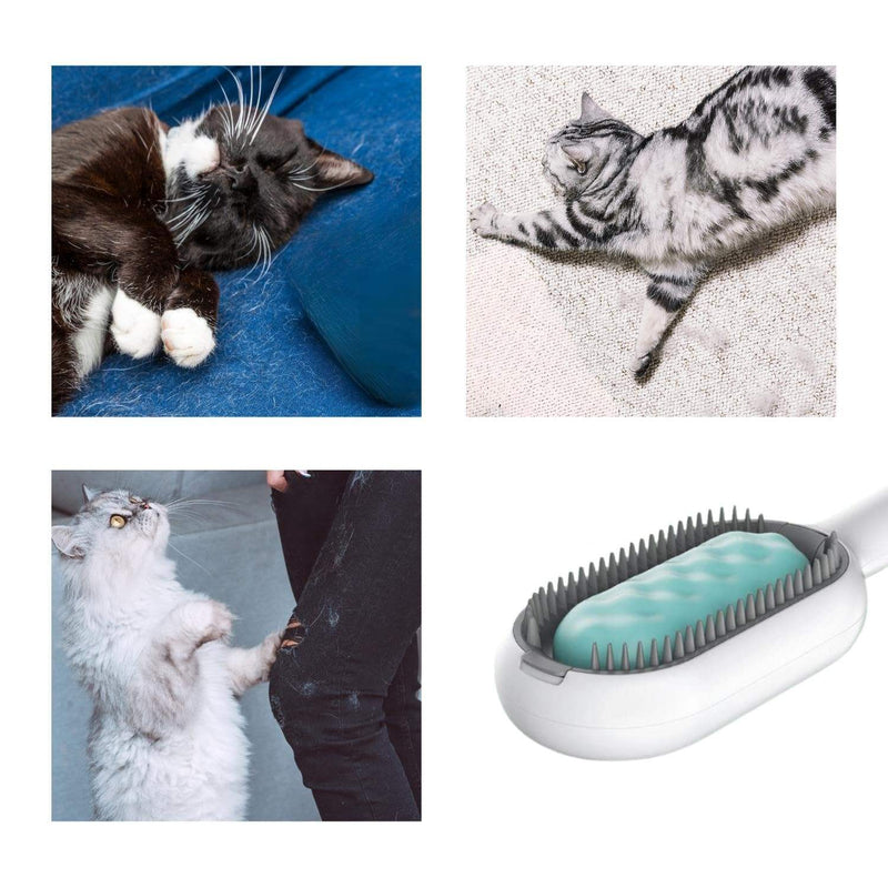 Cat Hair Brush With Water My Social Shop