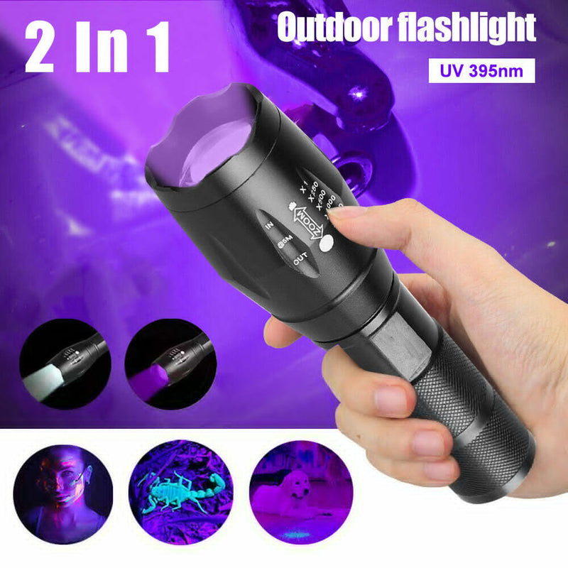 UV Blacklight Lamp 2 Pack