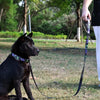 Camouflage Embossed Pet Leash Set - Image 1