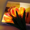 LED Tulip Table Lamp - Image 5