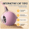 Interactive Cat Toy Ball — Fun for Indoor Cats - Image 3