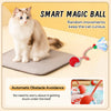 Interactive Cat Toy Ball — Fun for Indoor Cats - Image 4