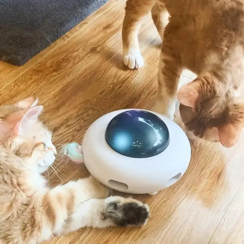 Smart Cat Toy Dropsure