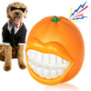 Tough Ball Dog Chew Toy - Image 1