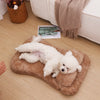 Soft Plush Pet Bed Mat with Pillow - Image 3