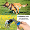 Dog Training Collar With Remote IP67 Waterproof Pet Trainer 300mAh Rechargeable 875 Yard Remote Control 4 Modes Adjustable Level - Image 4