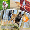 Tough Ball Dog Chew Toy - Image 6
