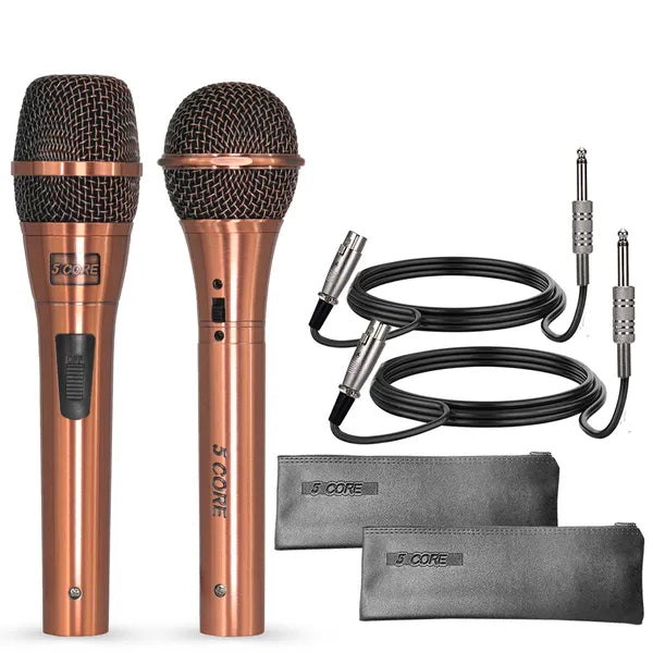 Couple Karaoke Microphone Pair