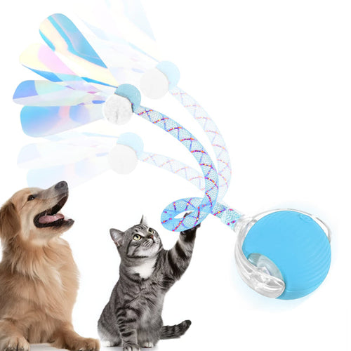 Interactive Cat Toy Ball — Fun for Indoor Cats