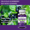 Sugar Free Elderberry Sea Moss Gummies - Image 5