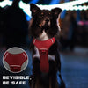 Durable tactical dog harness - Image 3