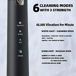 Electric Toothbrush For Adults My Social Shop