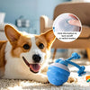 The Chase Buddy Dog Boredom Toy - Image 6