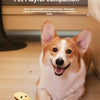 Fish-Shaped Dog Treat Toy — Silicone Slow Feeder - Image 3