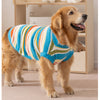 Striped sweater for dogs - Image 8