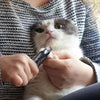 Lighted Dog Nail Clippers - Image 8