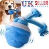 The Chase Buddy Dog Boredom Toy - Image 2