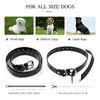 Remote Dog Training Collar - Image 6