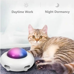 Smart Cat Toy Dropsure