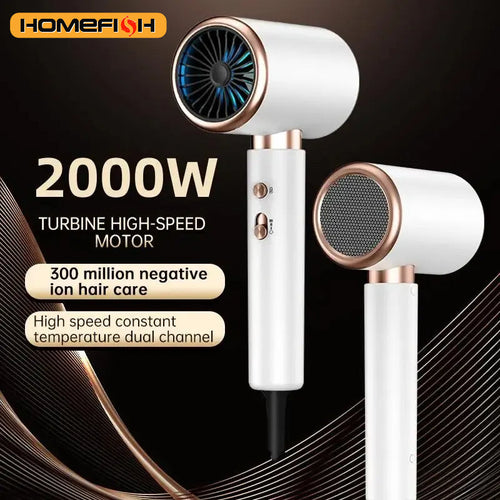 2000W Professional Hair Dryer with Air Brush Function
