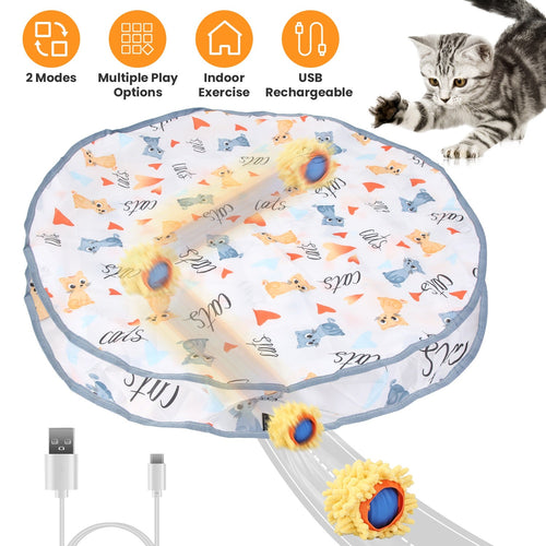 Interactive Motion-Activated Rolling Cat Toy