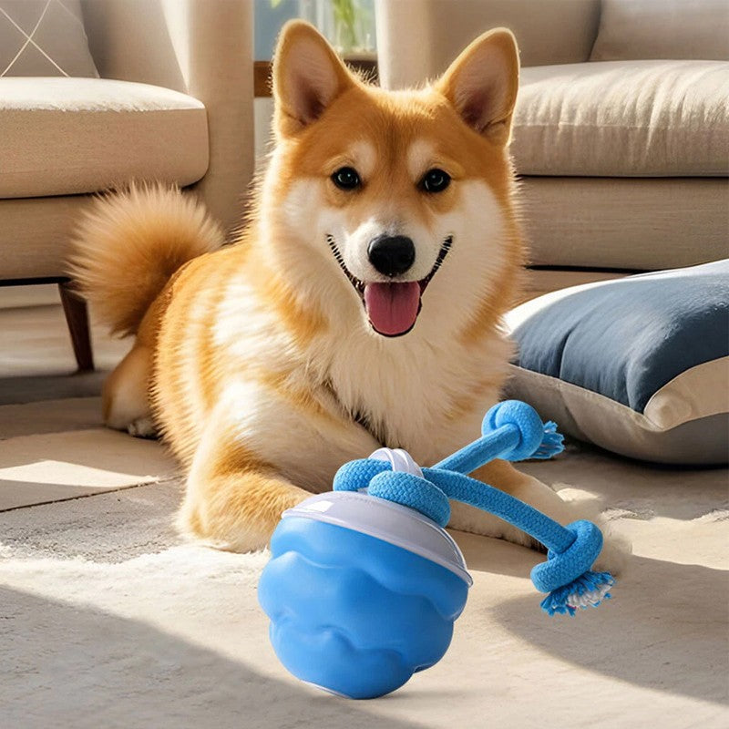 The Chase Buddy Dog Boredom Toy