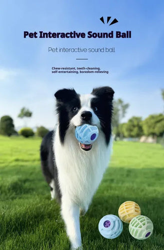 Interactive Sound Ball for Pets
